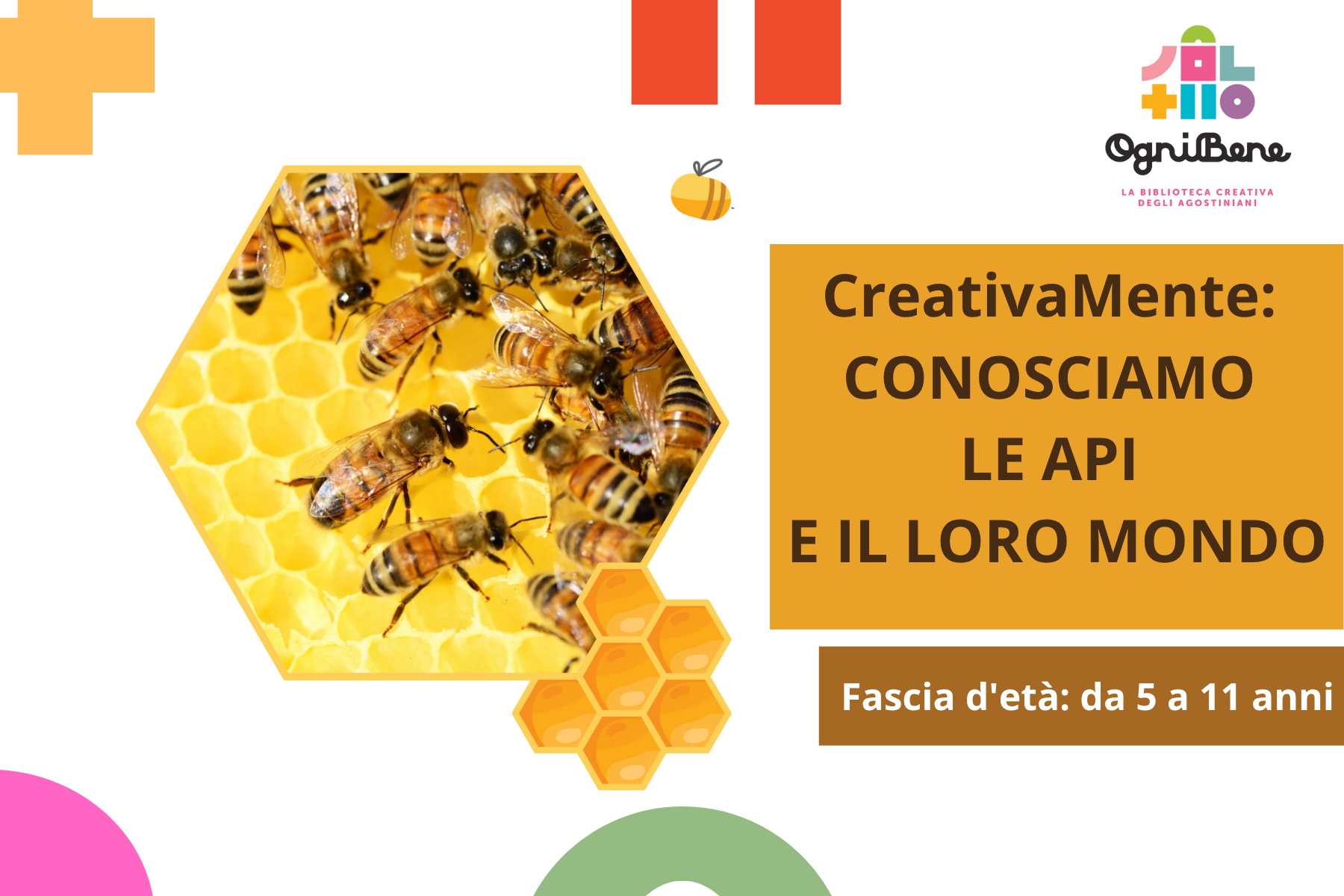 CreativaMente:  CONOSCIAMO LE API E IL LORO MONDO